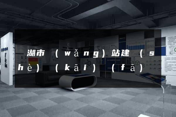 蕪湖市網(wǎng)站建設(shè)開(kāi)發(fā)