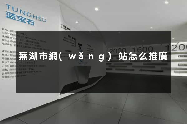 蕪湖市網(wǎng)站怎么推廣