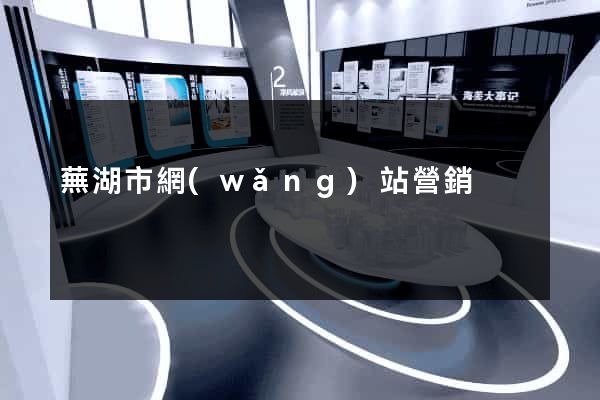 蕪湖市網(wǎng)站營銷