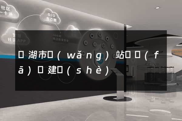 蕪湖市網(wǎng)站開發(fā)與建設(shè)