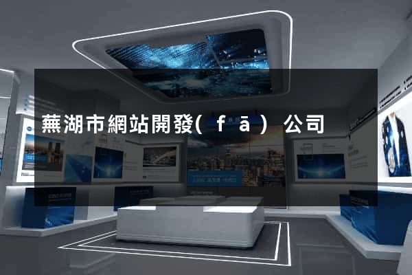 蕪湖市網站開發(fā)公司