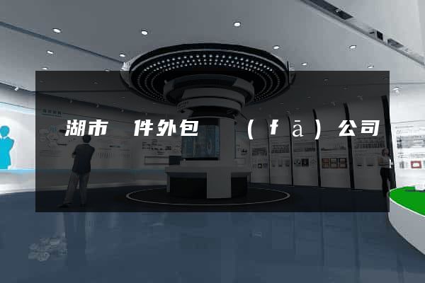 蕪湖市軟件外包開發(fā)公司
