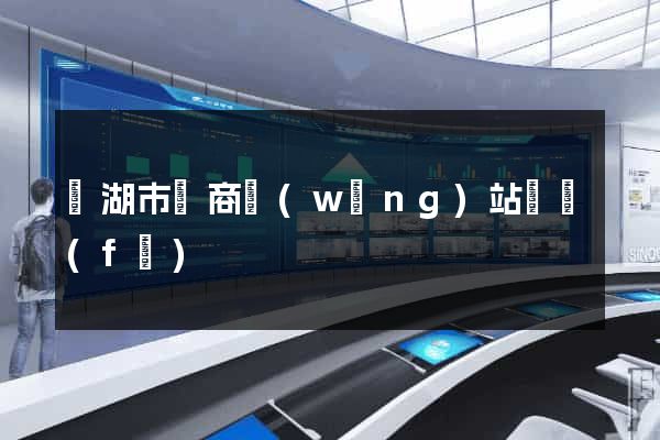 蕪湖市電商網(wǎng)站開發(fā)