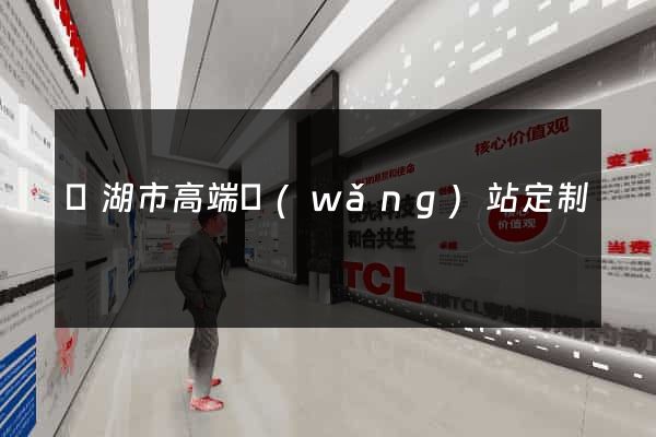 蕪湖市高端網(wǎng)站定制
