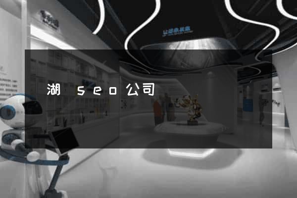 蕪湖縣seo公司
