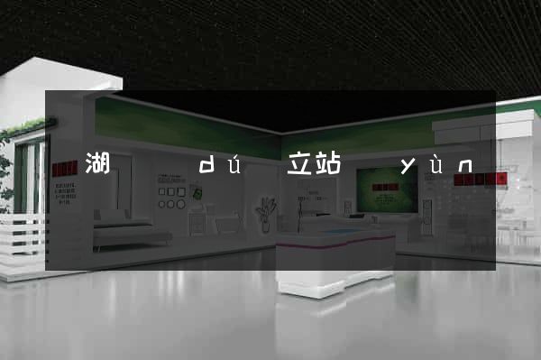 蕪湖縣獨(dú)立站運(yùn)營