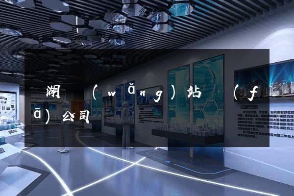 蕪湖縣網(wǎng)站開發(fā)公司