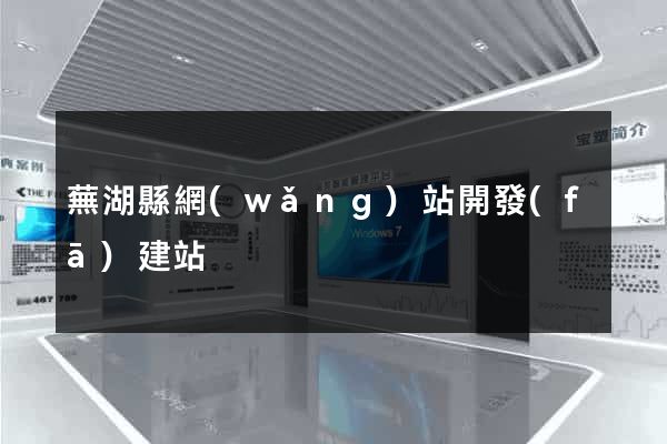 蕪湖縣網(wǎng)站開發(fā)建站