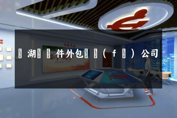 蕪湖縣軟件外包開發(fā)公司