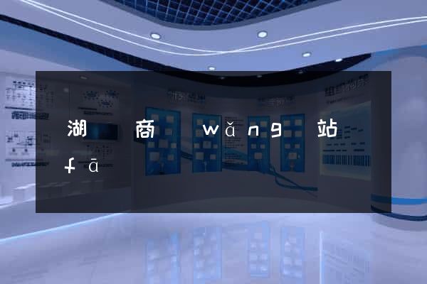 蕪湖縣電商網(wǎng)站開發(fā)