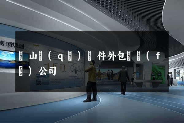 蕭山區(qū)軟件外包開發(fā)公司