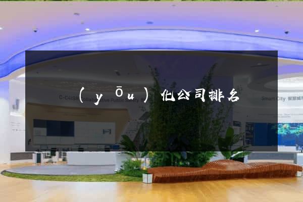 蕭縣優(yōu)化公司排名