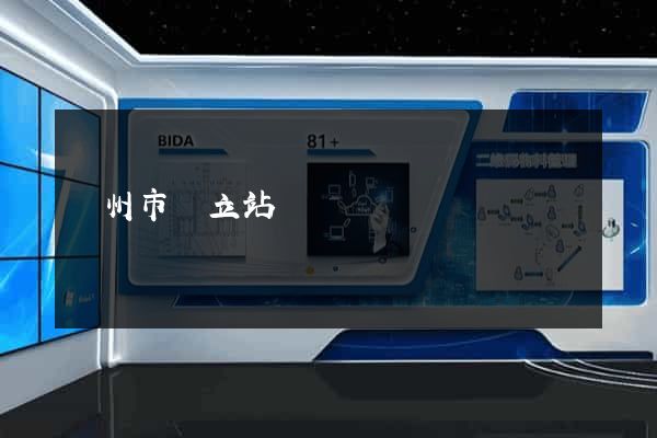 蘇州市獨立站運營