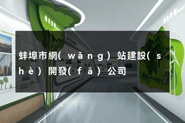 蚌埠市網(wǎng)站建設(shè)開發(fā)公司
