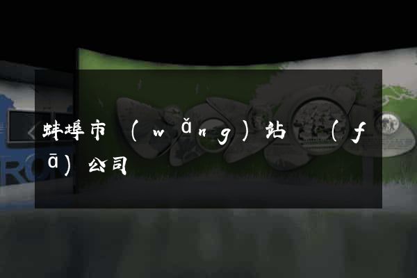 蚌埠市網(wǎng)站開發(fā)公司