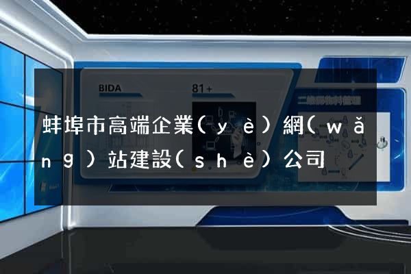 蚌埠市高端企業(yè)網(wǎng)站建設(shè)公司