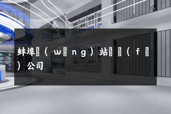 蚌埠網(wǎng)站開發(fā)公司