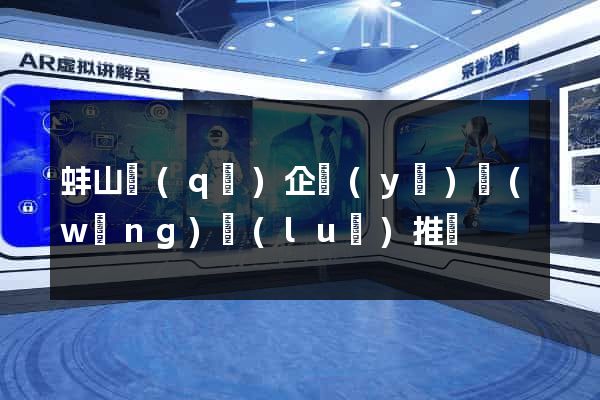 蚌山區(qū)企業(yè)網(wǎng)絡(luò)推廣