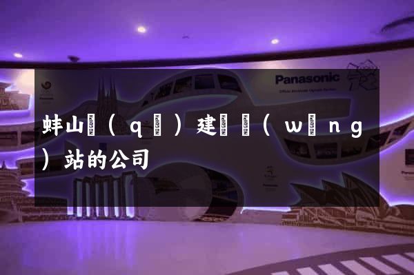 蚌山區(qū)建設網(wǎng)站的公司