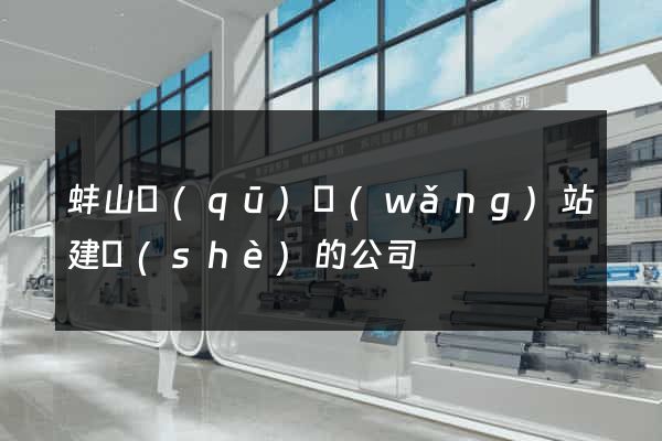 蚌山區(qū)網(wǎng)站建設(shè)的公司
