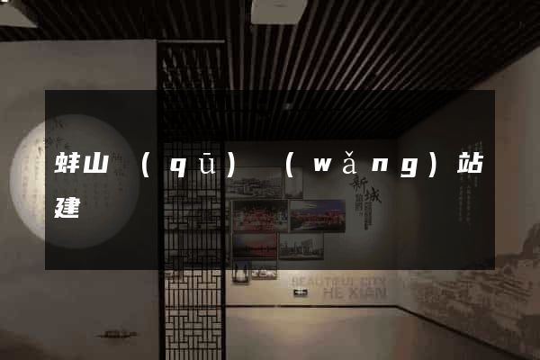 蚌山區(qū)網(wǎng)站建設