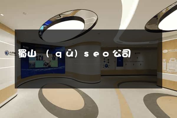 蜀山區(qū)seo公司