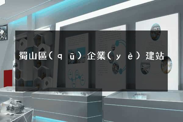蜀山區(qū)企業(yè)建站