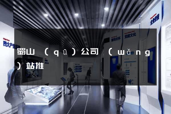 蜀山區(qū)公司網(wǎng)站推廣
