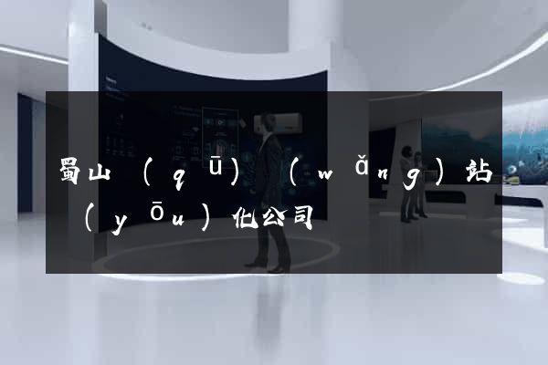 蜀山區(qū)網(wǎng)站優(yōu)化公司