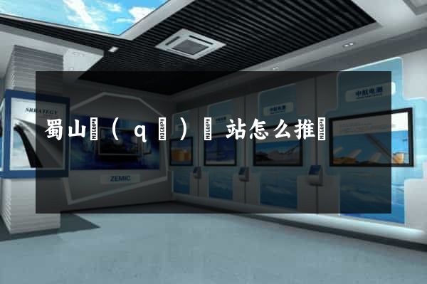 蜀山區(qū)網站怎么推廣