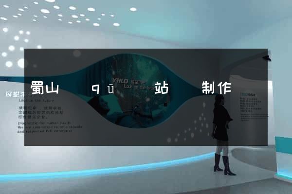 蜀山區(qū)網站設計制作
