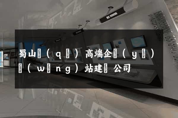 蜀山區(qū)高端企業(yè)網(wǎng)站建設公司