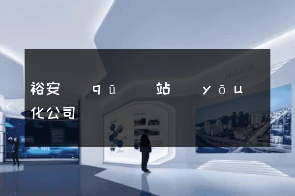 裕安區(qū)網站優(yōu)化公司