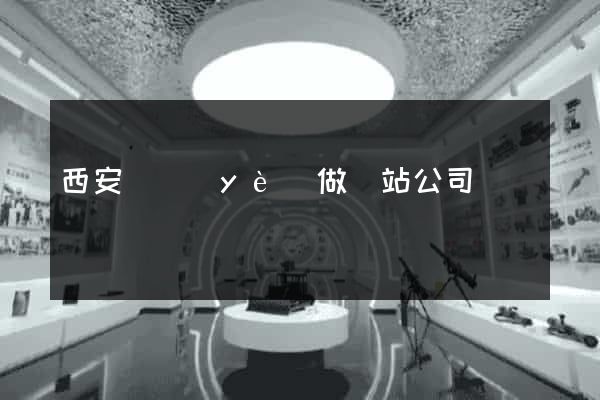 西安專業(yè)做網站公司