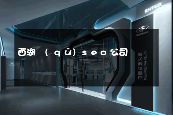 西湖區(qū)seo公司