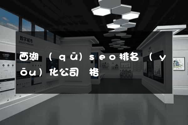 西湖區(qū)seo排名優(yōu)化公司價格
