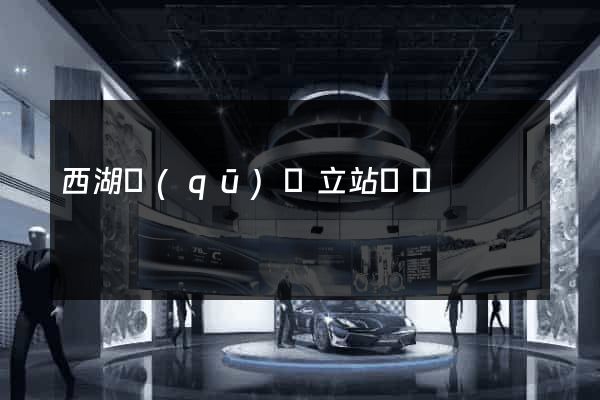 西湖區(qū)獨立站運營
