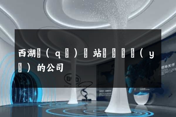 西湖區(qū)網站設計專業(yè)的公司