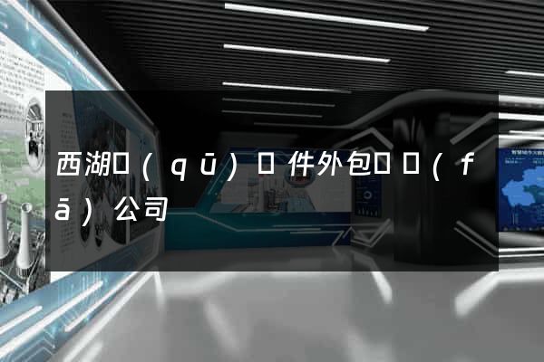 西湖區(qū)軟件外包開發(fā)公司