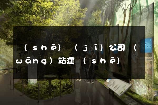設(shè)計(jì)公司網(wǎng)站建設(shè)