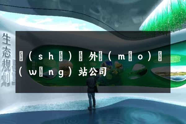 設(shè)計外貿(mào)網(wǎng)站公司