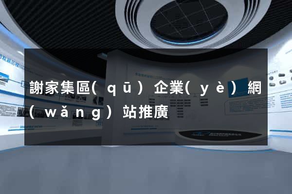 謝家集區(qū)企業(yè)網(wǎng)站推廣