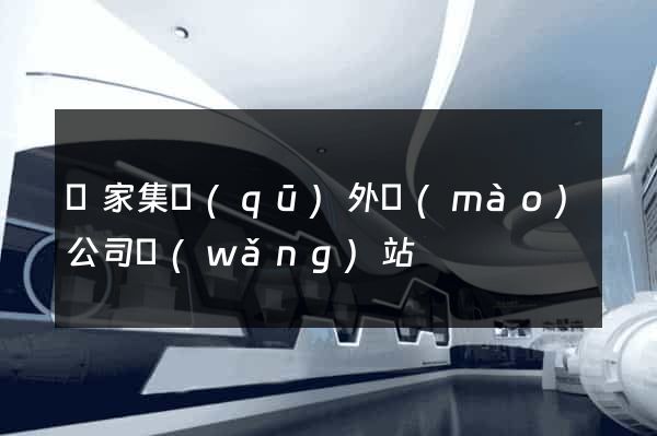 謝家集區(qū)外貿(mào)公司網(wǎng)站