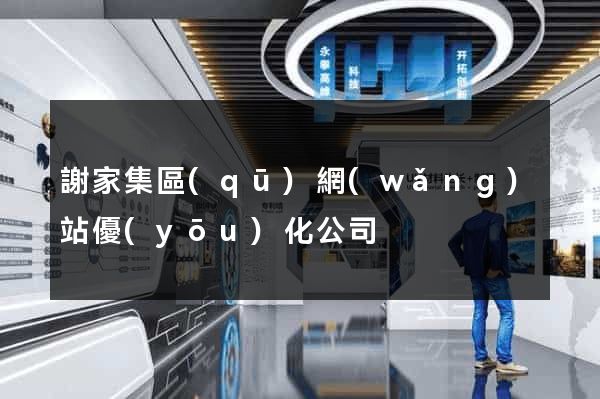 謝家集區(qū)網(wǎng)站優(yōu)化公司