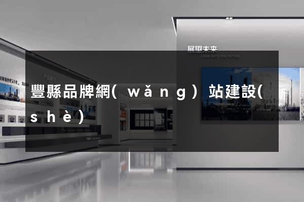 豐縣品牌網(wǎng)站建設(shè)