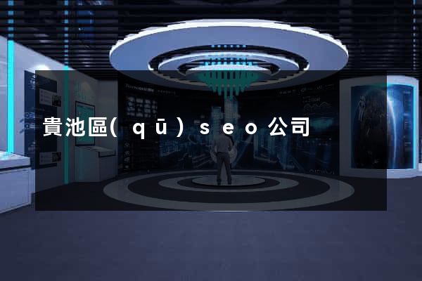 貴池區(qū)seo公司