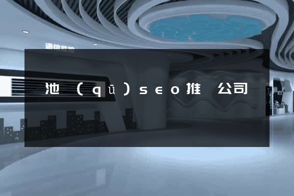 貴池區(qū)seo推廣公司
