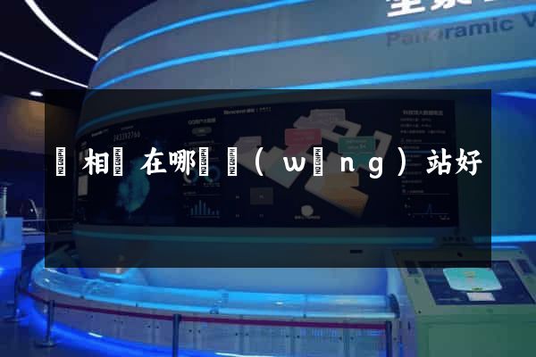 買相機在哪個網(wǎng)站好
