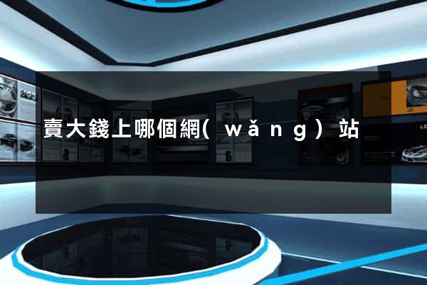 賣大錢上哪個網(wǎng)站