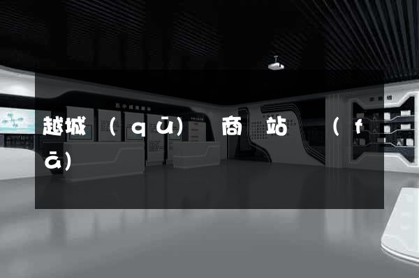 越城區(qū)電商網站開發(fā)